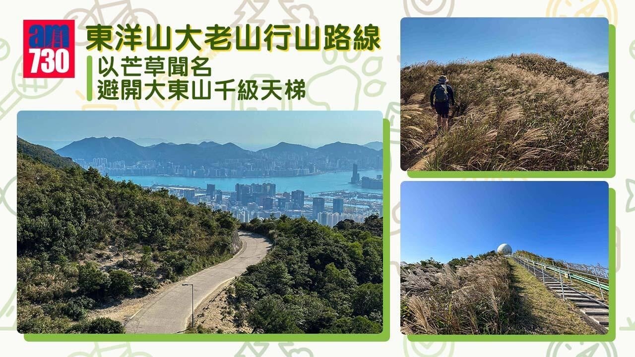 東洋山位於九龍,是芒草行山路線(am730製圖)